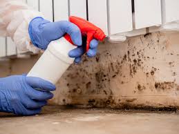 Best Basement Mold Removal  in Adamsville, AL